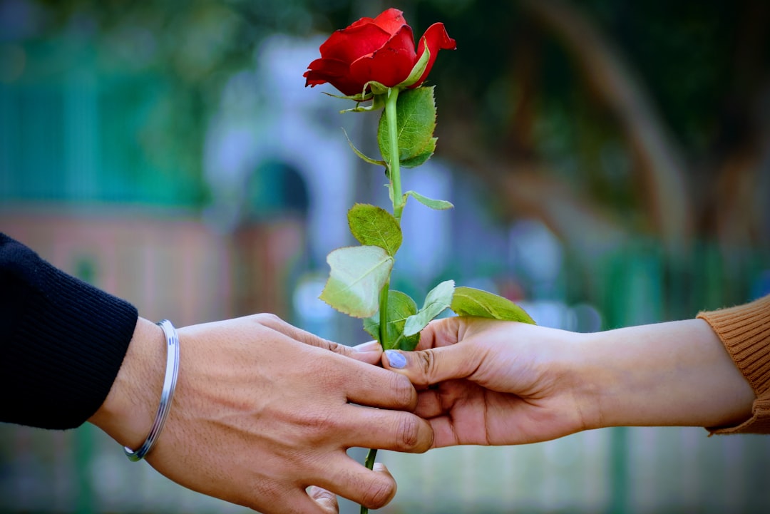 Find Your Soulmate Photo Now
